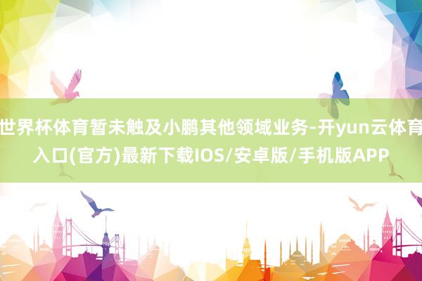 世界杯体育暂未触及小鹏其他领域业务-开yun云体育入口(官方)最新下载IOS/安卓版/手机版APP
