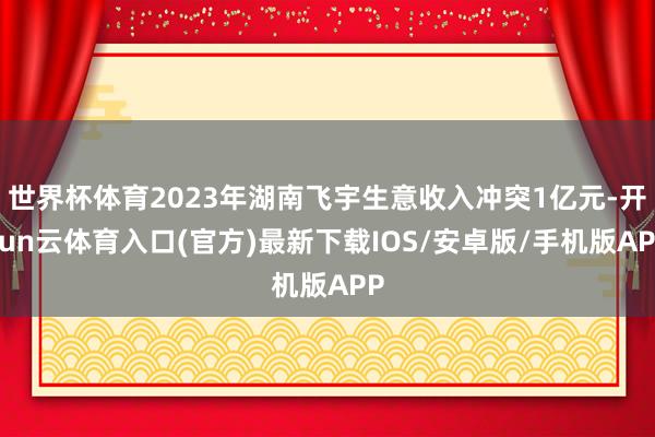 世界杯体育2023年湖南飞宇生意收入冲突1亿元-开yun云体育入口(官方)最新下载IOS/安卓版/手机版APP