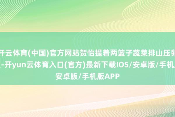 开云体育(中国)官方网站贺怡提着两篮子蔬菜排山压卵闯进屋-开yun云体育入口(官方)最新下载IOS/安卓版/手机版APP